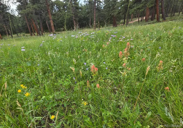 Photo 3 of Land for sale at 18677 State Hwy 7, Lyons, CO 80540 | MLS# IR1068777 | Listing updated on 2026-09-19