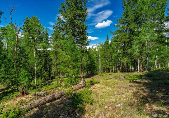Land for sale at 431 Cottonwood Lake Dr, Divide, CO 80814 | MLS# 6136535