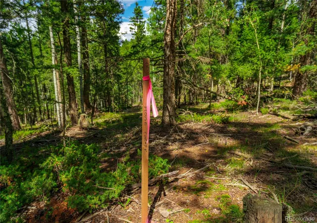 Photo 3 of Land for sale at 431 Cottonwood Lake Dr, Divide, CO 80814 | MLS# 6136535 | Listing updated on 2026-10-01