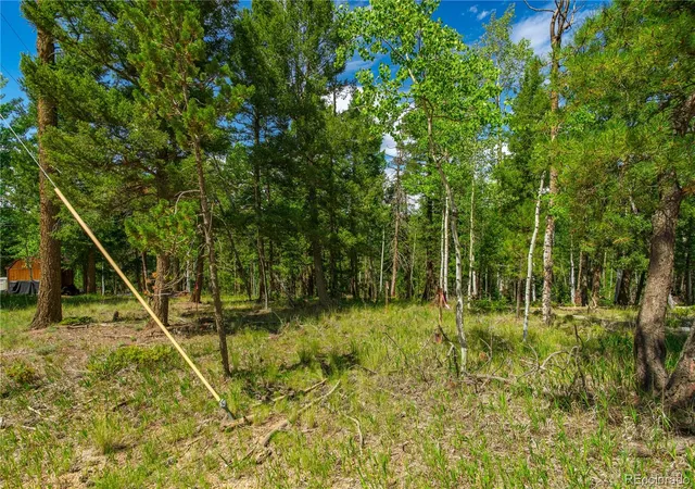 Photo 4 of Land for sale at 431 Cottonwood Lake Dr, Divide, CO 80814 | MLS# 6136535 | Listing updated on 2026-10-01