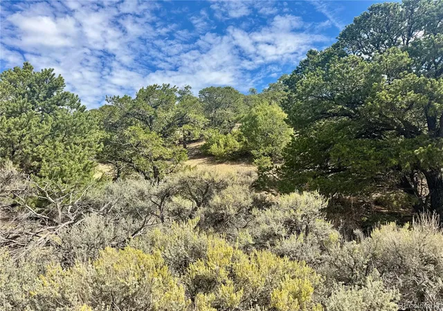 Land for sale at Lot 1374 Carter Rd, Fort Garland, CO 81133 | MLS# 2351425