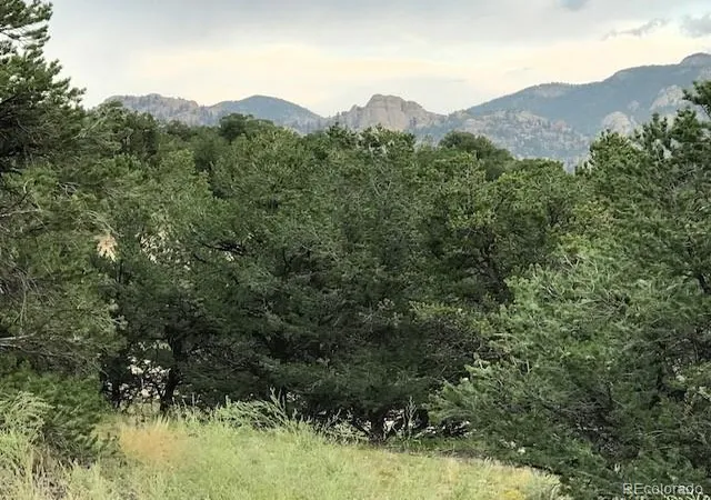 Photo 4 of Land for sale at 10365 Rawhide Crk Rd, Nathrop, CO 81236 | MLS# 6433227 | Listing updated on 2026-09-29