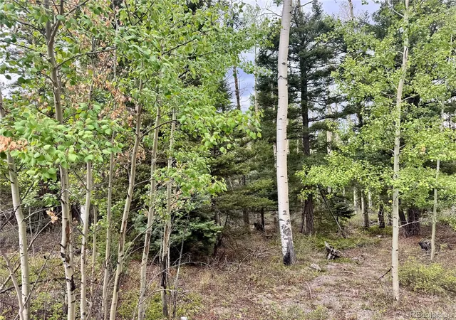 Photo 2 of Land for sale at Lot 2746 Pritchard Rd, Fort Garland, CO 81133 | MLS# 8219727 | Listing updated on 2026-09-22