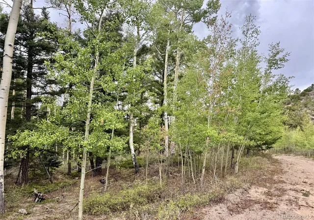 Photo 3 of Land for sale at Lot 2746 Pritchard Rd, Fort Garland, CO 81133 | MLS# 8219727 | Listing updated on 2026-09-22