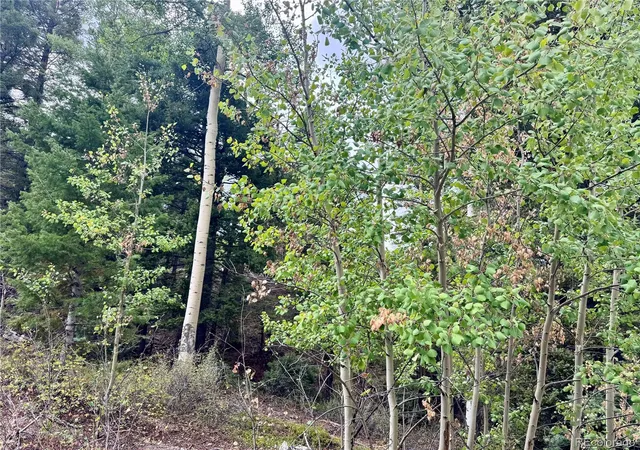 Photo 3 of Land for sale at Lot 2746 Pritchard Rd, Fort Garland, CO 81133 | MLS# 8219727 | Listing updated on 2026-09-24