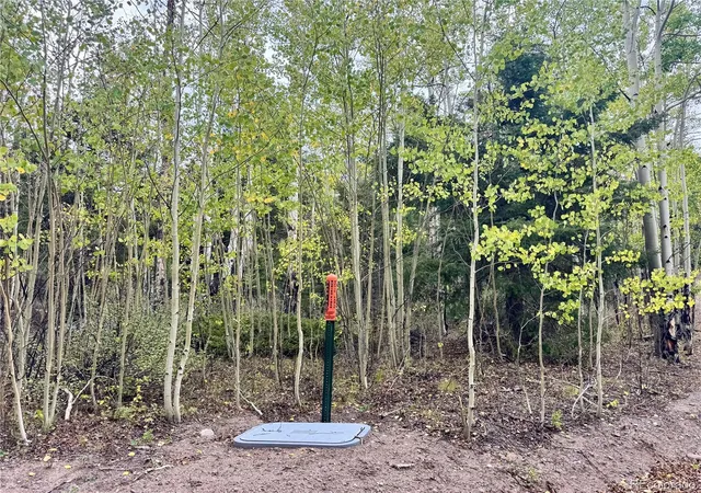 Photo 4 of Land for sale at Lot 2746 Pritchard Rd, Fort Garland, CO 81133 | MLS# 8219727 | Listing updated on 2026-09-24