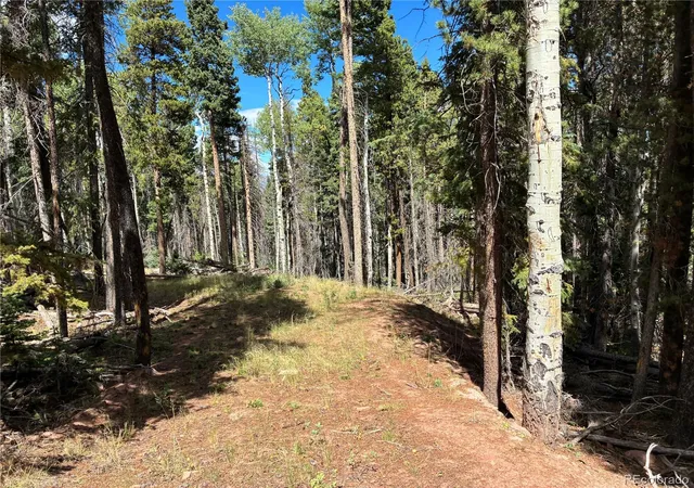 Photo 2 of Land for sale at Lot 2381 Benton Pl, Fort Garland, CO 81133 | MLS# 2321241 | Listing updated on 2026-09-19