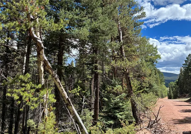 Photo 3 of Land for sale at Lot 2381 Benton Pl, Fort Garland, CO 81133 | MLS# 2321241 | Listing updated on 2026-09-19