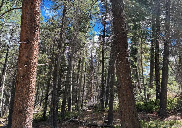Photo 3 of Land for sale at Lot 2381 Benton Pl, Fort Garland, CO 81133 | MLS# 2321241 | Listing updated on 2026-09-19