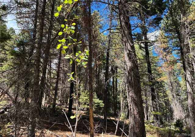 Photo 4 of Land for sale at Lot 2381 Benton Pl, Fort Garland, CO 81133 | MLS# 2321241 | Listing updated on 2026-09-19
