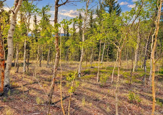 Photo 3 of Sale Pending at 126 S Quarter Horse Rd, Jefferson, CO | MLS# 3855969 | Listing updated on 2026-09-23