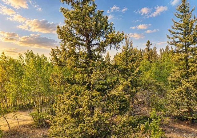 Photo 3 of Sale Pending at 126 S Quarter Horse Rd, Jefferson, CO | MLS# 3855969 | Listing updated on 2026-09-23
