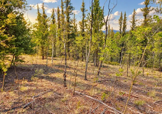 Photo 4 of Sale Pending at 126 S Quarter Horse Rd, Jefferson, CO | MLS# 3855969 | Listing updated on 2026-09-23