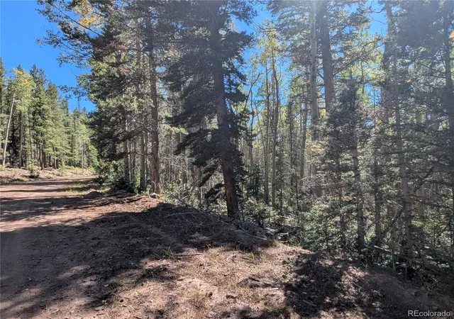 Photo 3 of Land for sale at 3244 Zipf, Fort Garland, CO 81133 | MLS# 1690864 | Listing updated on 2026-09-22