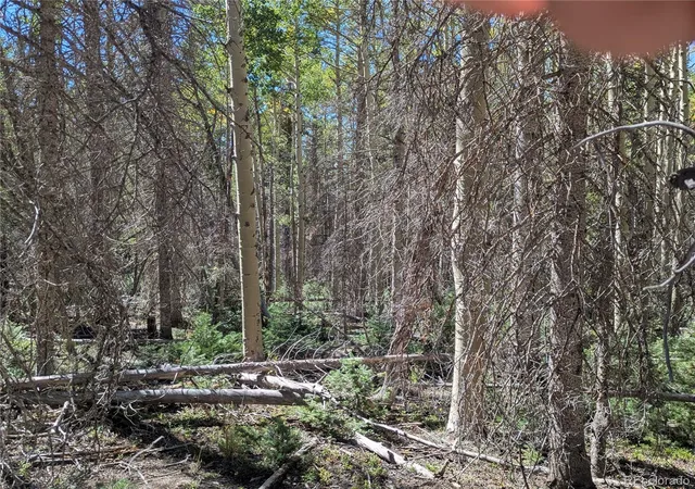 Photo 3 of Land for sale at 3244 Zipf, Fort Garland, CO 81133 | MLS# 1690864 | Listing updated on 2026-09-22