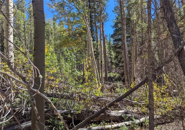 Photo 4 of Land for sale at 3244 Zipf, Fort Garland, CO 81133 | MLS# 1690864 | Listing updated on 2026-09-22