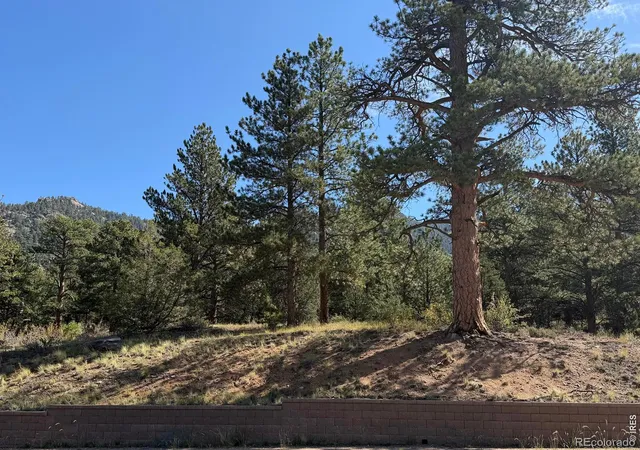 Land for sale at 0 Fish Crk Rd, Estes Park, CO 80517 | MLS# IR1068952