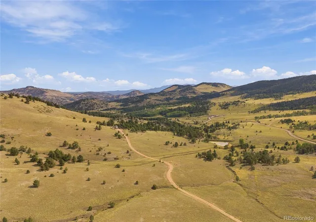 Single family home for sale at 214 Betty Lou Rd, Guffey, CO 80820 | MLS# 9911547