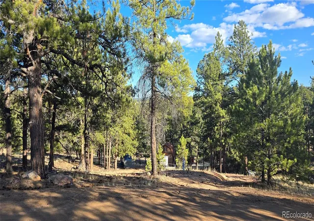 Photo 1 of Land for sale at 595 Mustang Trl, Florissant, CO 80816 | MLS# 7020292 | Listing updated on 2026-09-18
