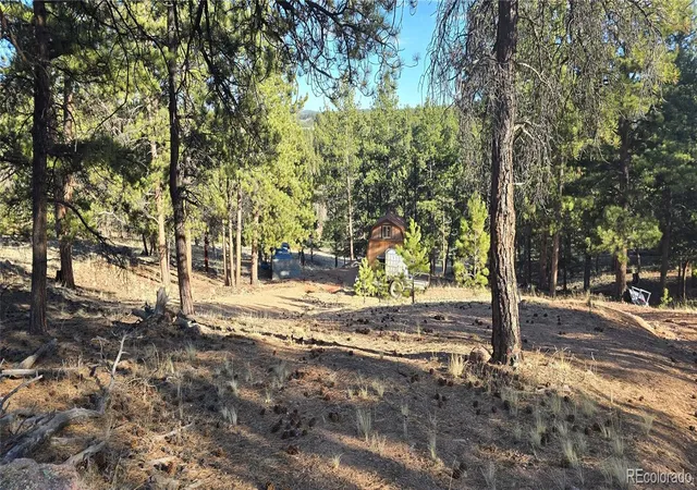 Photo 2 of Land for sale at 595 Mustang Trl, Florissant, CO 80816 | MLS# 7020292 | Listing updated on 2026-09-18