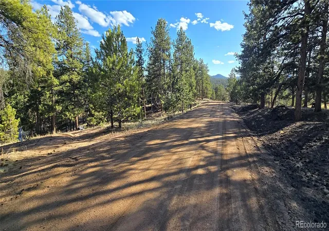 Photo 3 of Land for sale at 595 Mustang Trl, Florissant, CO 80816 | MLS# 7020292 | Listing updated on 2026-09-18