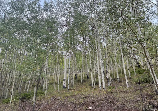 Photo 4 of Land for sale at Lot 6438 Bonfman Rd, San Luis, CO 81152 | MLS# 3553572 | Listing updated on 2026-09-18