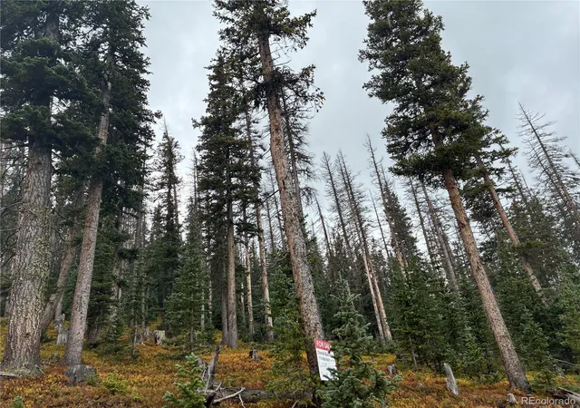 Photo 4 of Land for sale at Lot 6539 Schlueter Rd, San Luis, CO 81152 | MLS# 7127741 | Listing updated on 2026-09-18