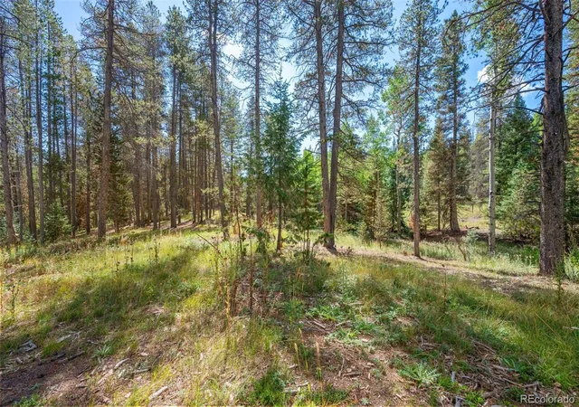 Photo 1 of Land for sale at 001 Lot 12 Indian Springs Rd, Conifer, CO 80433 | MLS# 2186750 | Listing updated on 2026-09-19