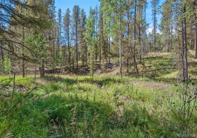 Photo 3 of Land for sale at 001 Lot 12 Indian Springs Rd, Conifer, CO 80433 | MLS# 2186750 | Listing updated on 2026-09-19