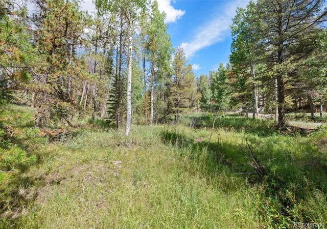 Photo 3 of Land for sale at 001 Lot 12 Indian Springs Rd, Conifer, CO 80433 | MLS# 2186750 | Listing updated on 2026-09-19