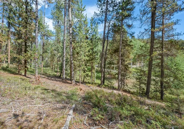 Photo 4 of Land for sale at 001 Lot 12 Indian Springs Rd, Conifer, CO 80433 | MLS# 2186750 | Listing updated on 2026-09-19