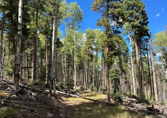 Photo 2 of Land for sale at Lot 2380 Benton Rd, Fort Garland, CO 81133 | MLS# 9253386 | Listing updated on 2026-09-21