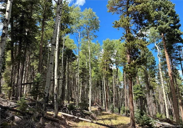 Photo 3 of Land for sale at Lot 2380 Benton Rd, Fort Garland, CO 81133 | MLS# 9253386 | Listing updated on 2026-09-21