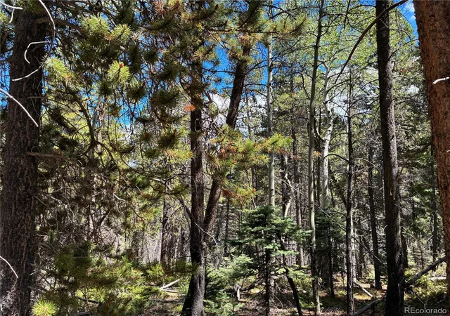 Photo 3 of Land for sale at Lot 2380 Benton Rd, Fort Garland, CO 81133 | MLS# 9253386 | Listing updated on 2026-09-21