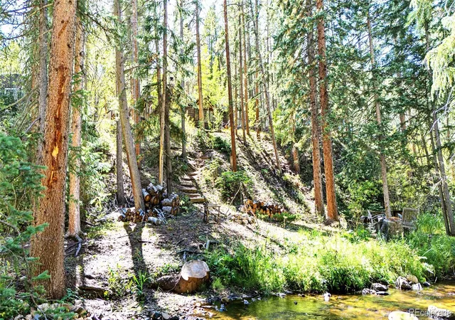 Photo 3 of Single family home for sale at 7739 County Rd 43, Bailey, CO 80421 | MLS# 9349272 | Listing updated on 2026-09-26