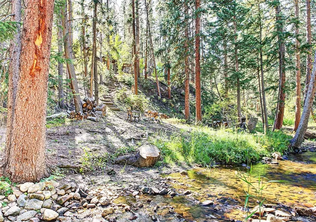 Photo 4 of Single family home for sale at 7739 County Rd 43, Bailey, CO 80421 | MLS# 9349272 | Listing updated on 2026-09-24