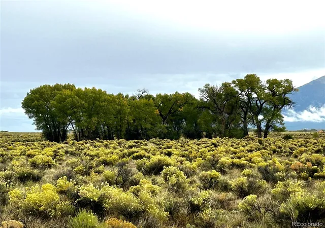Photo 3 of Land for sale at 579 Camino Del Rey, Crestone, CO 81131 | MLS# 9669305 | Listing updated on 2026-09-24