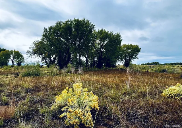 Photo 4 of Land for sale at 579 Camino Del Rey, Crestone, CO 81131 | MLS# 9669305 | Listing updated on 2026-09-24