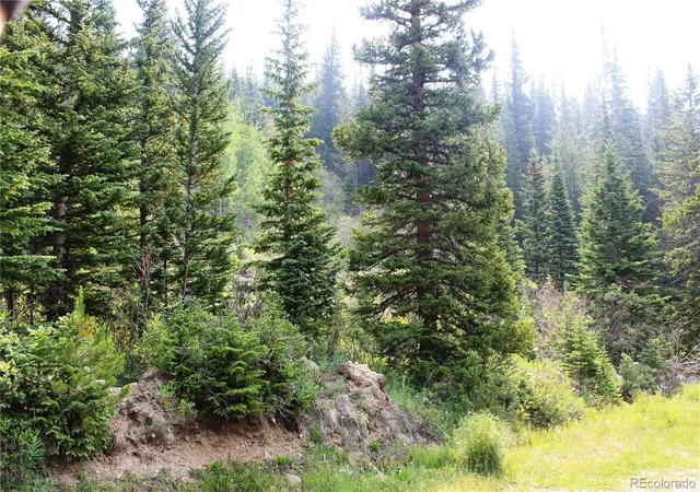 Land for sale at 01 Miners Rd, Idaho Springs, CO 80452 | MLS# 2101727