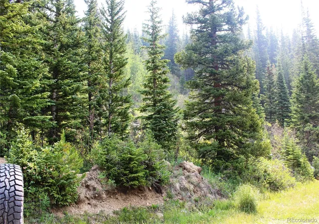 Photo 2 of Land for sale at 01 Miners Rd, Idaho Springs, CO 80452 | MLS# 2101727 | Listing updated on 2026-09-22