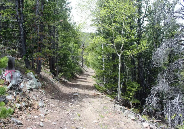 Photo 3 of Land for sale at 16564a Pennsylvania, Idaho Springs, CO 80461 | MLS# 8323201 | Listing updated on 2026-09-22