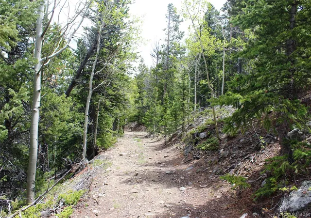 Photo 4 of Land for sale at 16564a Pennsylvania, Idaho Springs, CO 80461 | MLS# 8323201 | Listing updated on 2026-09-22