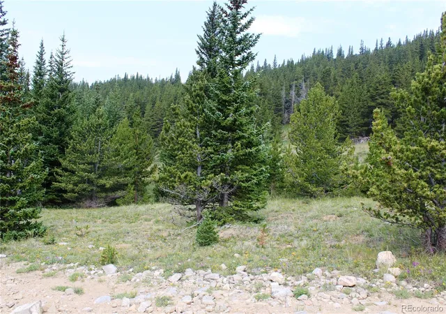 Land for sale at 13620 Independence, Idaho Springs, CO 80461 | MLS# 6161791