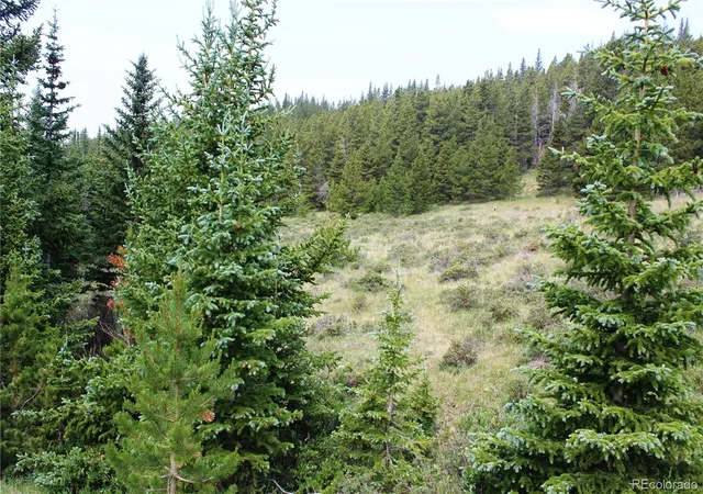 Photo 3 of Land for sale at 13620 Independence, Idaho Springs, CO 80461 | MLS# 6161791 | Listing updated on 2026-09-22