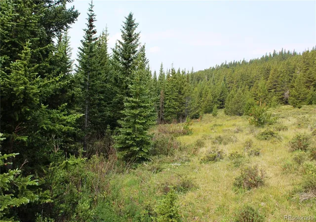 Photo 4 of Land for sale at 13620 Independence, Idaho Springs, CO 80461 | MLS# 6161791 | Listing updated on 2026-09-22