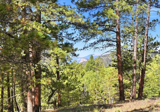 Photo 1 of Land for sale at 000 Molly Dr, Conifer, CO 80433 | MLS# 3811181 | Listing updated on 2026-10-05