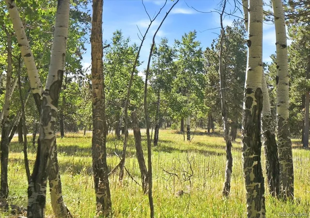 Photo 2 of Land for sale at 000 Molly Dr, Conifer, CO 80433 | MLS# 3811181 | Listing updated on 2026-10-05