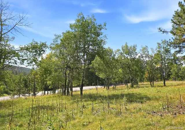 Photo 4 of Land for sale at 000 Molly Dr, Conifer, CO 80433 | MLS# 3811181 | Listing updated on 2026-10-05