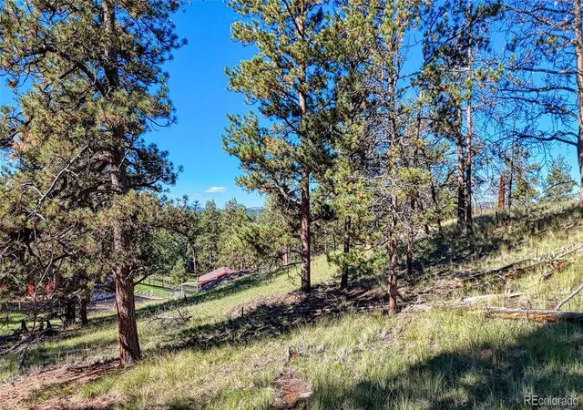 Photo 2 of Land for sale at 65 Utah Way, Florissant, CO 80816 | MLS# 8641239 | Listing updated on 2026-09-23