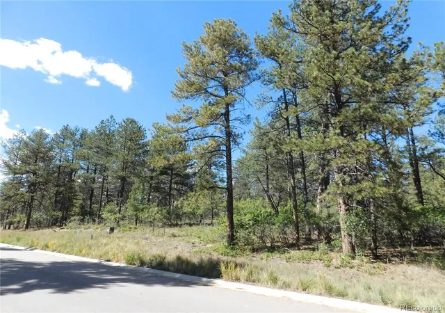 Photo 3 of Land for sale at 773 Copper Fox Pl, Larkspur, CO 80118 | MLS# 6742658 | Listing updated on 2026-10-01